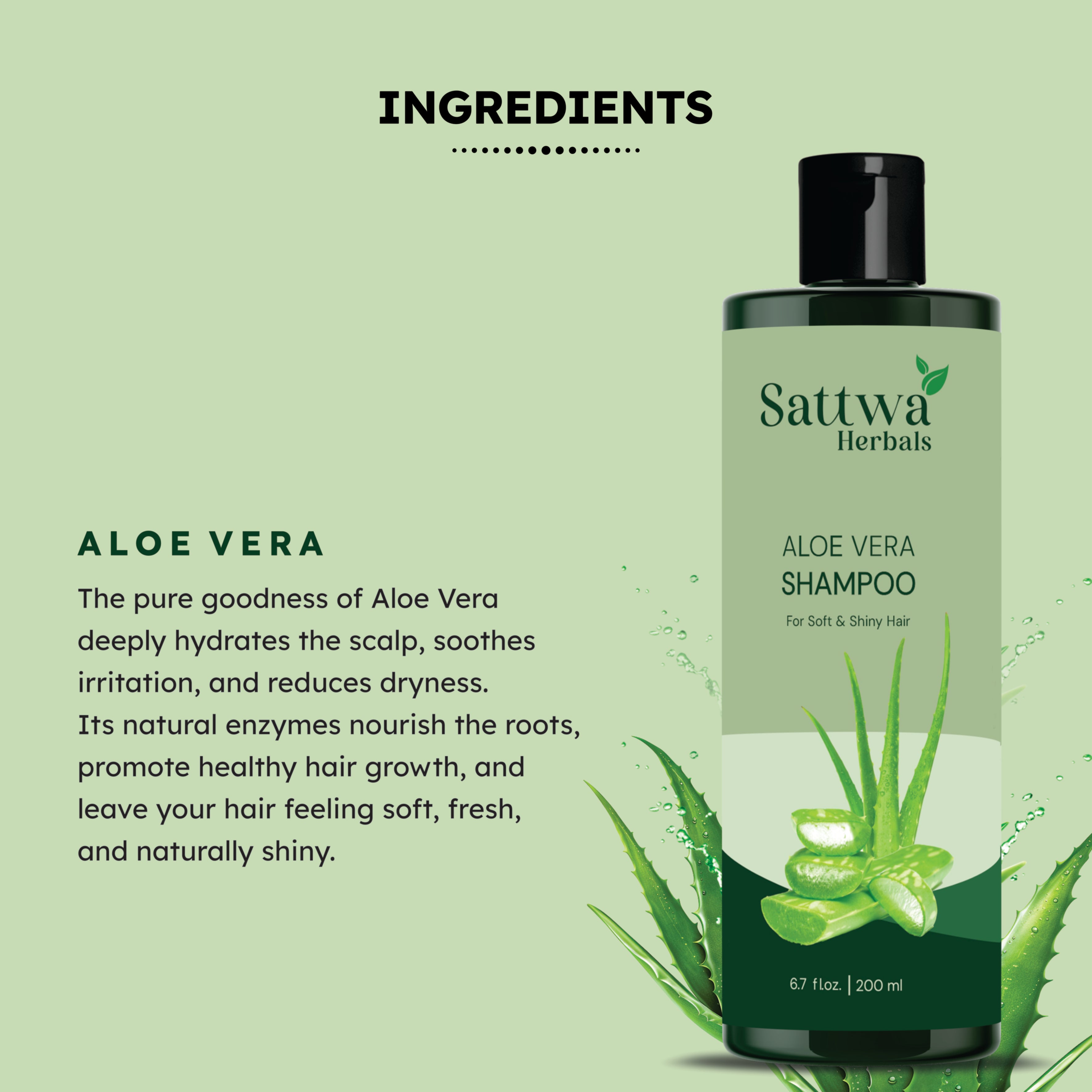 Sattwa Herbals Aloe Vera Soothing Scalp Shampoo - Moisturizing Formula for Sensitive Scalp