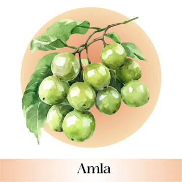 Amla