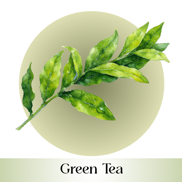Green Tea
