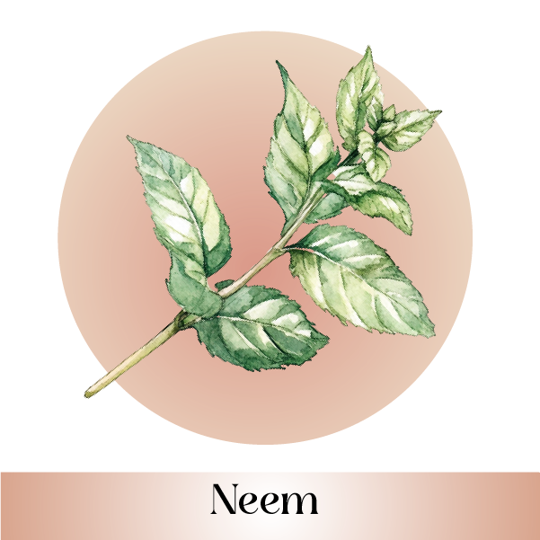 Neem