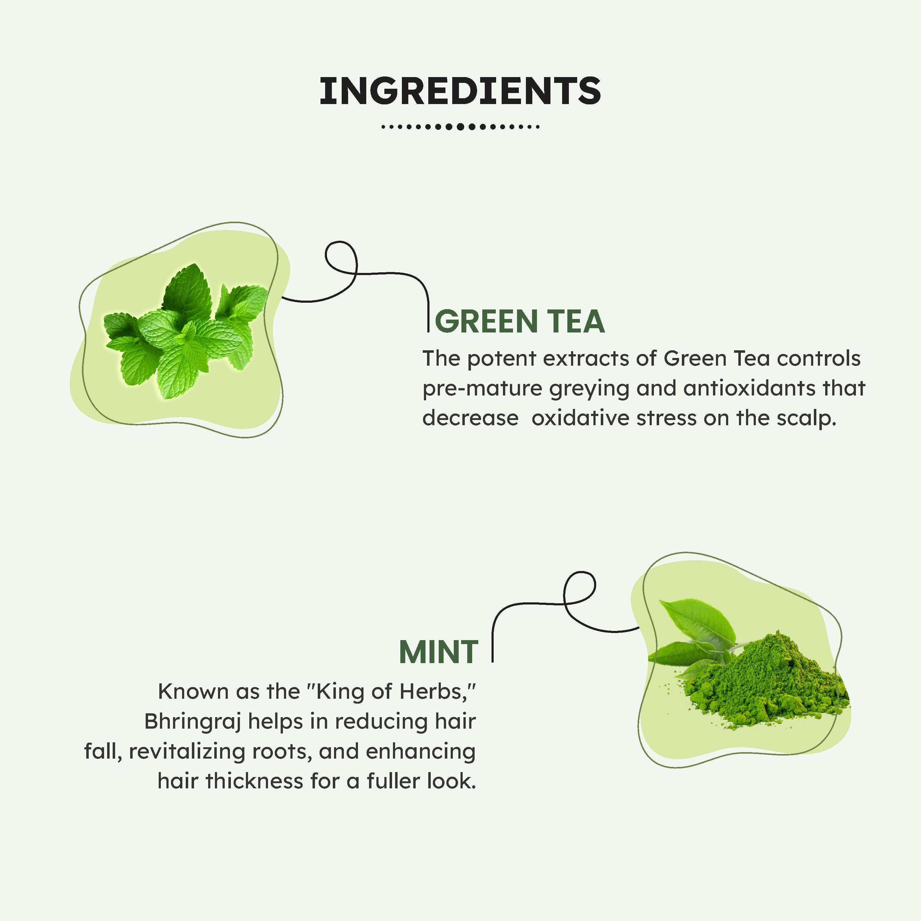 Sattwa Herbals Green Tea & Mint Hair Conditioner - Natural Cooling Conditioner